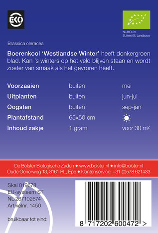 Boerenkool 'Westlandse Winter'