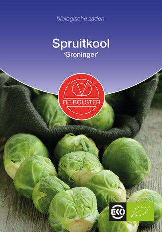 Spruitkool 'Groninger'