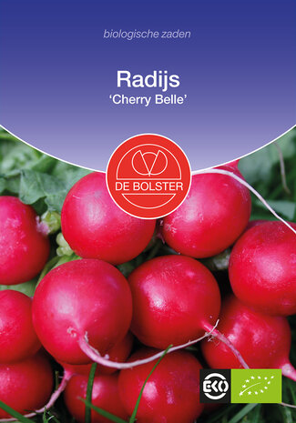 Radijs 'Cherry Belle'