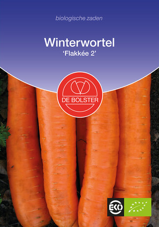 Winterwortel 'Flakkée 2'