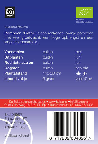 Pompoen 'Fictor'