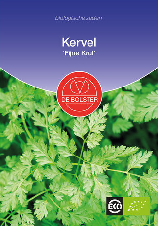 Kervel 'Fijne Krul'