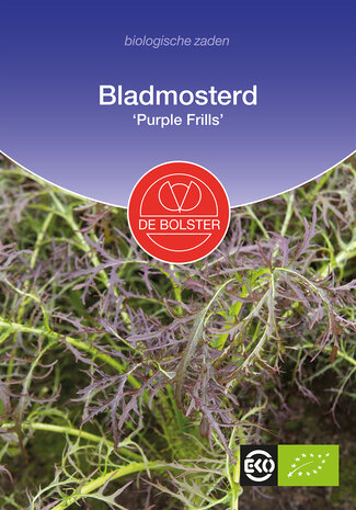 Bladmosterd 'Purple Frills'