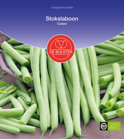Stokslaboon 'Cobra'