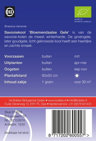 Savooiekool 'Bloemendaalse Gele'