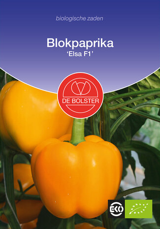 Paprika-blok 'Elsa F1'