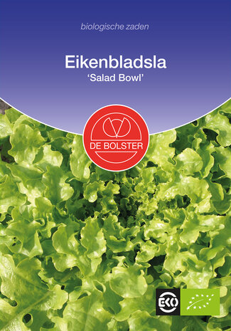 Eikenbladsla 'Salad Bowl'