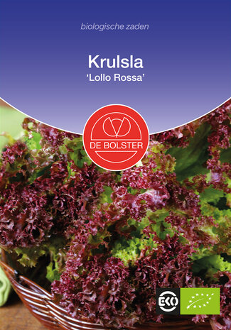 Krulsla 'Lollo Rossa'