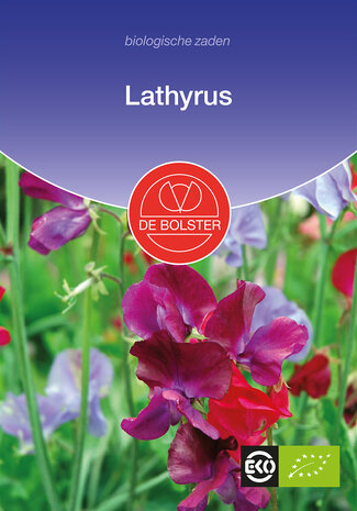 Lathyrus