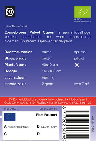 Zonnebloem 'Velvet Queen'