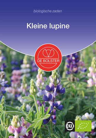 Kleine lupine