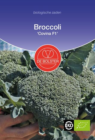Broccoli 'Covina F1'