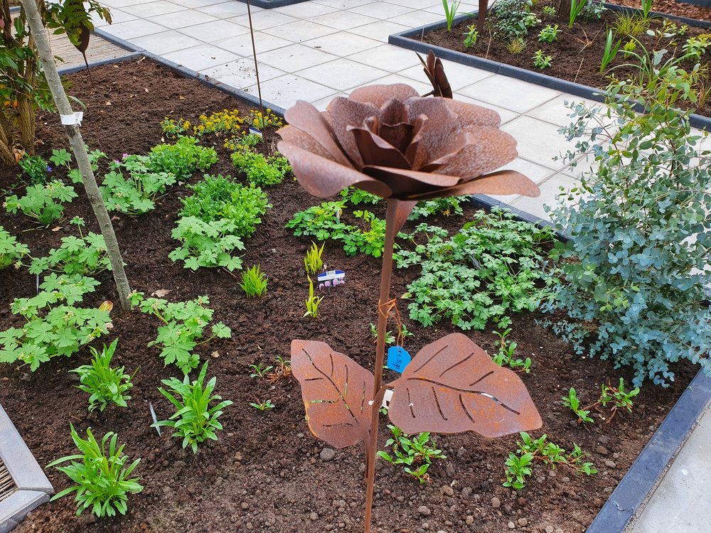 Bloem 4 (Merk: Gerry's Garden)