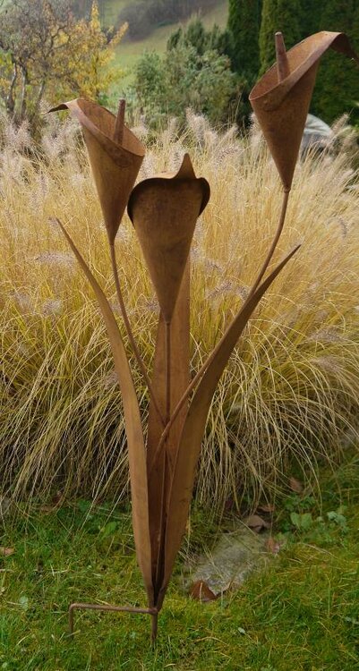 Aronskelken (Merk: Gerry's Garden)