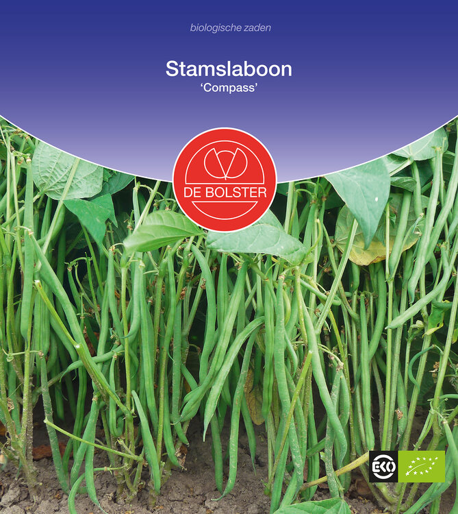 Stamslaboon 'Compass'