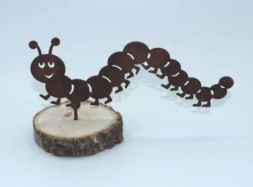 Duizendpoot (Merk: Gerry's Garden)