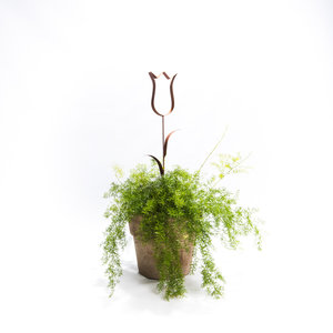 Tulp 2D (Merk: Gerry's Garden)