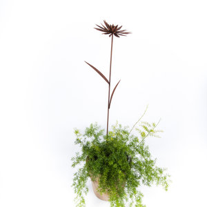 Bloem 1 (Merk: Gerry's Garden)