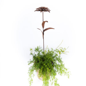 Bloem 3 (Merk: Gerry's Garden)