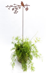 Vogel op tak (Merk: Gerry's Garden)